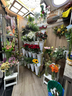 長沙灣青山道小型花店轉讓