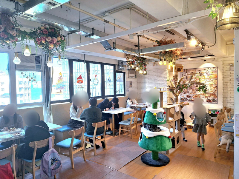 銅鑼灣 謝斐道 樓上舖 西式餐廳 頂讓 